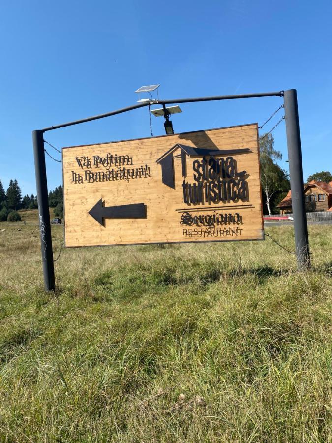 Апартаменты Pentahouse Mountain Belle Vue Пояна-Брашов Экстерьер фото