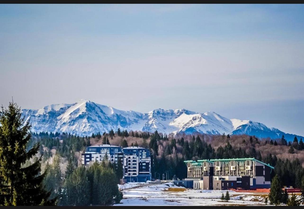 Апартаменты Pentahouse Mountain Belle Vue Пояна-Брашов Экстерьер фото