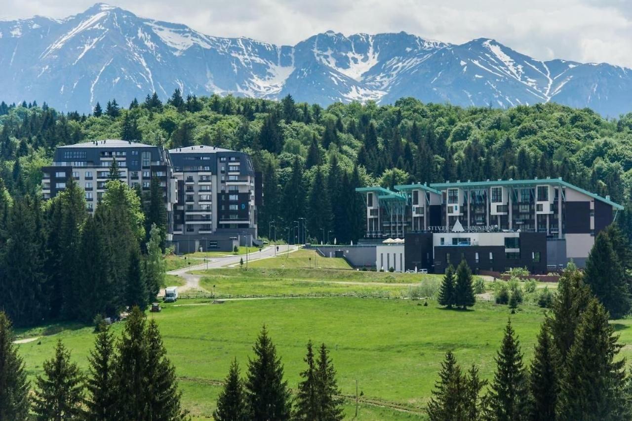 Апартаменты Pentahouse Mountain Belle Vue Пояна-Брашов Экстерьер фото