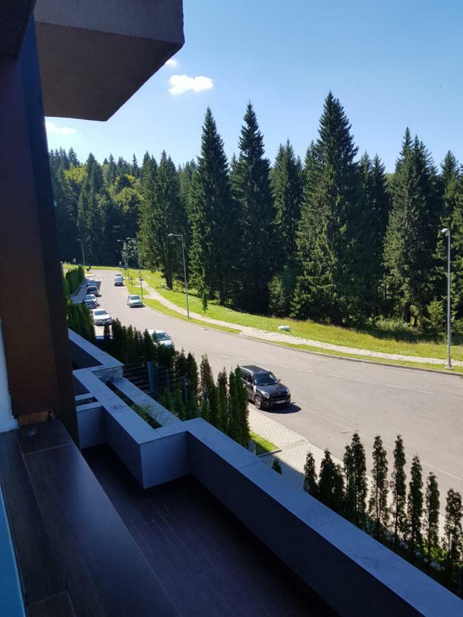 Апартаменты Pentahouse Mountain Belle Vue Пояна-Брашов Экстерьер фото